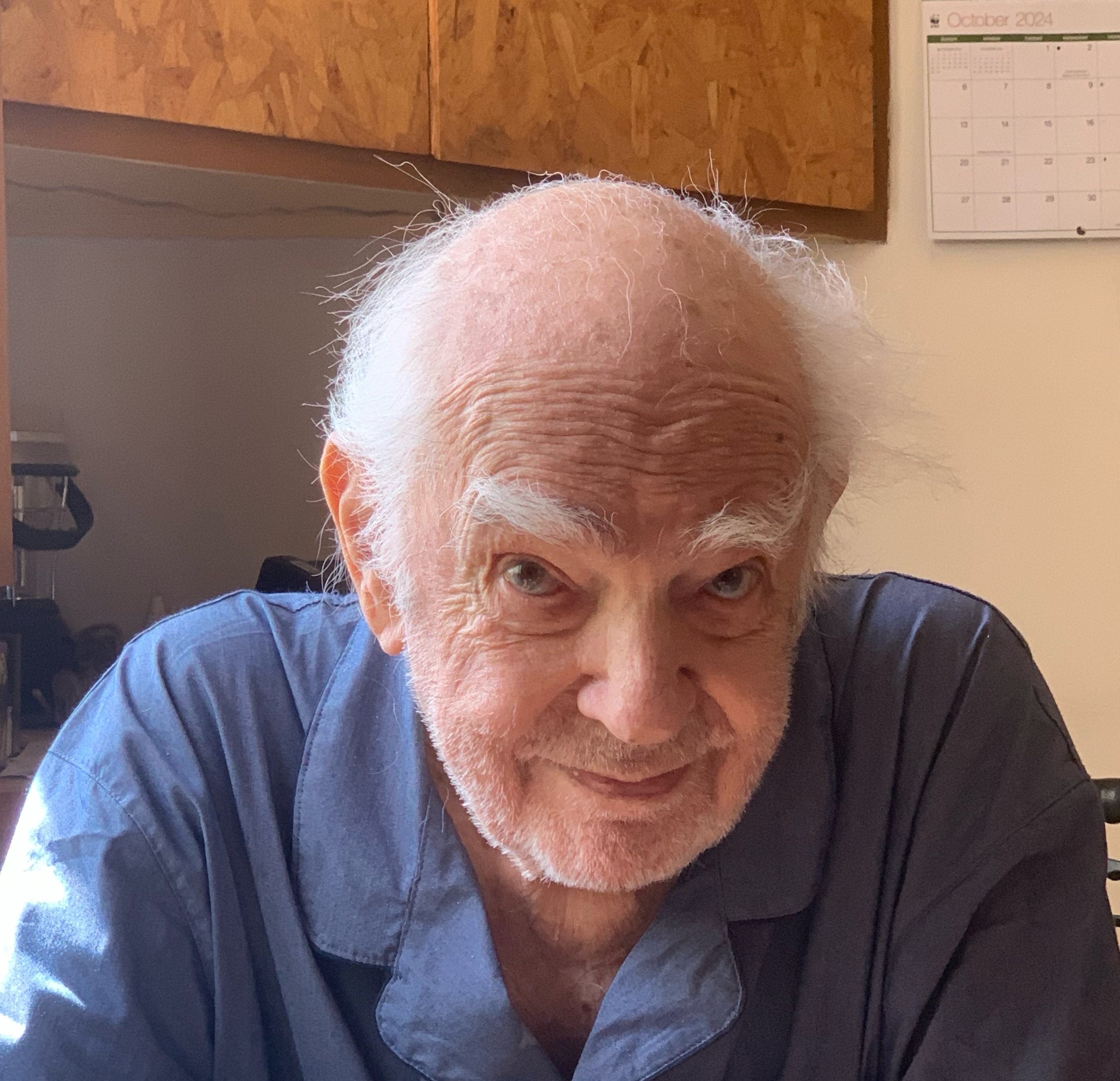 An old man's brown eyes stare into the camera with a tolerantly expression of arched eyebrows and fixed, tight-lipped smile. His white hair is still thick on the sides and wispy across his speckled dome. His eyebrows are saturnine horns, thick and curved. He sits at his kitchen table in a blue bathrobe. The calendar behind him shows October 2024. He has less than four months left in life.